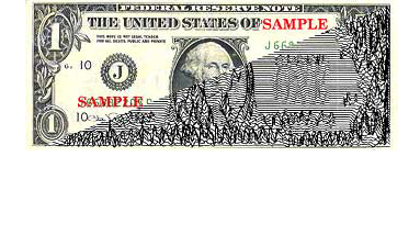Currency magnetic pattern